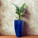 Ver imagem 6 de Vaso Agata 33 (23l) Cor Azul Vietnamita Japi