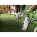 Ver imagem 5 de Grama Sintética 20mm (19m2) Soft Garden Artificial