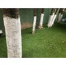Grama Sintética 20mm (19m2) Soft Garden Artificial - 6