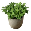 Ver imagem 1 de 9 Mini Hera Artificial Decorativa Verde Premium para Vasos, Arranjos e Jardim Vertical