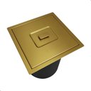 Dourado