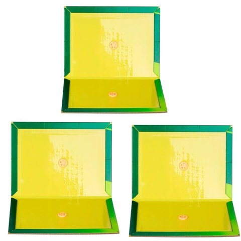 Ratoeira Adesiva Cola Pega Rato 20x15cm | 03 Un