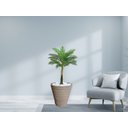 Ver imagem 2 de Planta Artificial Árvore Palmeira Real Toque 1,2m kit + Vaso Redondo D. Grafiato Bege 40cm