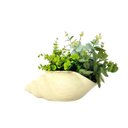 Ver imagem 1 de Vaso Cerâmica Caramujo 31x18x15 Cm – Originalidade e Sofisticação na Sua Decoração:branco