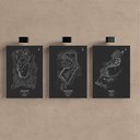 Ver imagem 2 de Kit 3 Quadro Decorativo Circuitos Formula Carro Interlagos Qualidade Premium 28x20cm