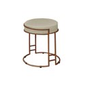 Ver imagem 1 de Puff Decorativo Sarah Sala E Recepção Metal Bronze Veludo