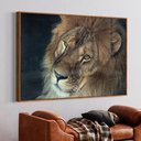 Ver imagem 1 de Quadro Decorativo a Face do Leão em Moldura Caixa Tacolado Moldura Trad 1cm Branca com Vidro 20 X 30