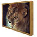 Ver imagem 5 de Quadro Decorativo a Face do Leão em Moldura Caixa Tacolado Moldura Trad 1cm Branca com Vidro 20 X 30