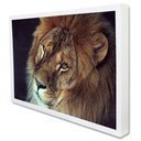 Ver imagem 2 de Quadro Decorativo a Face do Leão em Moldura Caixa Tacolado Moldura Trad 1cm Branca com Vidro 20 X 30