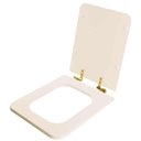 Ver imagem 2 de Assento Sanitário Soft Close Square Shell para Vaso Incepa com Ferragem Dourada
