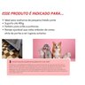 Rampa para Cães Cachorro - Escadinha - Hg Madeira - 2
