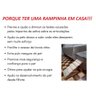 Rampa para Cães Cachorro - Escadinha - Hg Madeira - 3