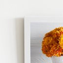 Ver imagem 2 de Quadro Crisântemo Laranja Vaso Flor Moldura Branca 60x40cm