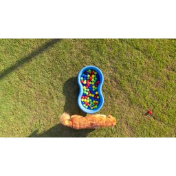 Piscina Multiuso Afort 1000L Polietileno Multiuso 1000 Litros - 3