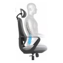 Ver imagem 6 de Cadeira de Escritorio Ergonômica Presidente Nr17 Modelo Ergopro One: Cinza/preto
