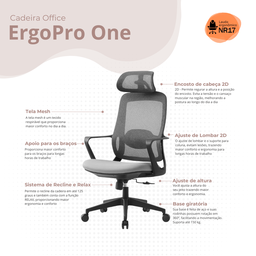 Cadeira de Escritorio Ergonômica Presidente Nr17 Modelo Ergopro One:cinza/preto - 2