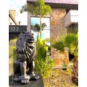 Ver imagem 4 de Escultura Estátua Decorativa Leão Sentado 108cm:preto Fosco