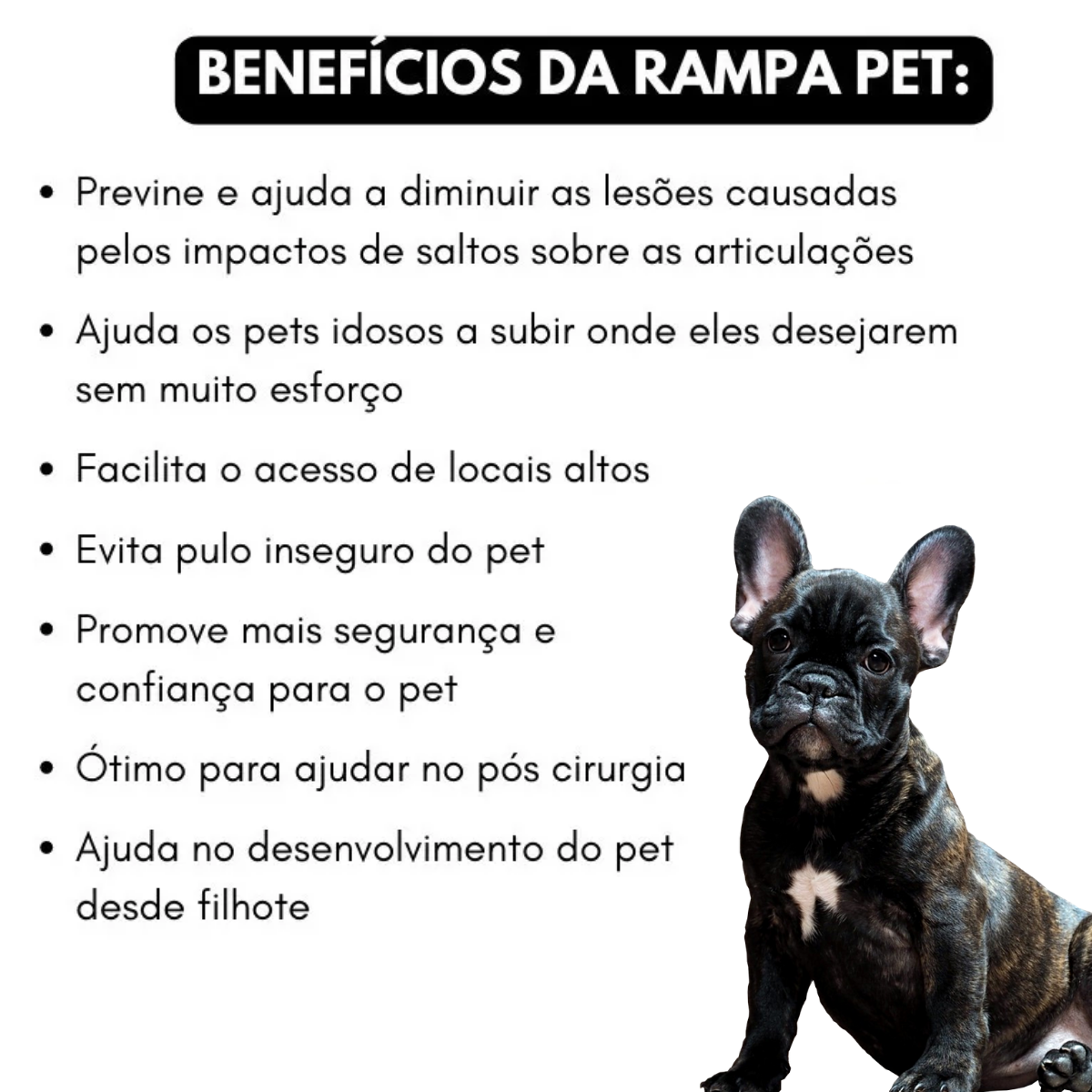 Rampa Auxiliar Para Pets - 8