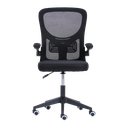 Ver imagem 2 de Cadeira Escritório Basic Diretor Tela Mesh Preta Giratória Altura Ajustável - Waw Design