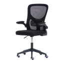 Ver imagem 1 de Cadeira Escritório Basic Diretor Tela Mesh Preta Giratória Altura Ajustável - Waw Design