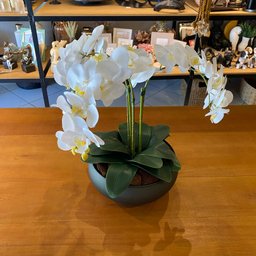 Arranjo Grande Centro de Mesa 3 Orquídeas Branca 3d Vaso Verde - 2