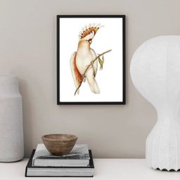 Quadro Decorativo Passarinho Cacatua 33x24cm:moldura Preta - 1