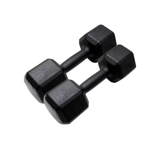 Par de Halter Sextavado Pintado 10kg Academia Treino Fitness