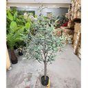 Ver imagem 7 de Oliveira Artificial Árvore Decoração Planta com 1.50cm, Planta para Decoração de Casa.