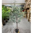 Ver imagem 2 de Oliveira Artificial Árvore Decoração Planta com 1.50cm, Planta para Decoração de Casa.