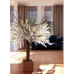 Árvore Artificial Flores de Cerejeira Branca 2 Mt Grande - 1