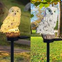 Ver mais imagens de Coruja Luminaria Solar Casa Jardim Quintal Enfeite Luz Led Espeto Decoraçao Nortuna Enfeite Aves LEV