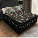 Ver imagem 2 de Cama Box Casal Conjugada Ortopédico (5cm) Colchão Dos Sonhos