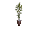 Ver imagem 1 de Planta Árvore Artificial Bambu 2,10m Com Vaso Marrom 44