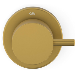 Acab. Reg. Celite Basic P/base 1/2, 3/4, 1 Gold Mt - 3