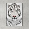 Quadro Decorativo Tigre Branco QV.0973.01.01.01 Euronobre - 60x90x3cm - 1