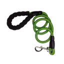 Ver imagem 1 de Guia Reforçada, Emborrachada Pet 1.20 Cm - Verde