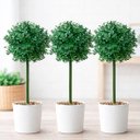 Ver imagem 1 de Bucho Buchinho Planta Artificial Decoração de 80cm Kit 3pçs