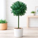 Ver imagem 4 de Bucho Buchinho Planta Artificial Decoração de 80cm Kit 3pçs