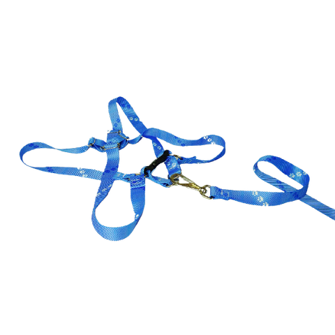 Conjunto Peitoral Ajustável RBPet com Guia - Cães de Grande Porte