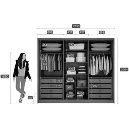 Guarda Roupa Casal 6 Portas e 8 Gavetas Bandeira/himalaia Cumaru - Novo Horizonte - 3