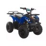 Super Mini Quadriciclo 49cc Xw-a16 C/ Nota Fiscal - Azul - Dsrshop - 1