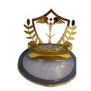 Ver imagem 3 de Placa Personolizada Brasão Acrilico Profissões Decoração:estetica e Cosmetico