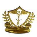 Ver imagem 5 de Placa Personolizada Brasão Acrilico Profissões Decoração:estetica e Cosmetico