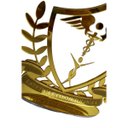 Ver imagem 6 de Placa Personolizada Brasão Acrilico Profissões Decoração:estetica e Cosmetico