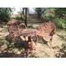 Conjunto de Jardim Casal em Ferro Fundido Pronto Artes - 2