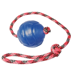 Brinquedo para Cães Bola Agility Cristal Lisa Guia 75mm