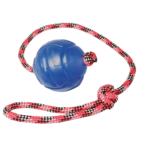 Brinquedo para Cães Bola Agility Cristal Lisa Guia 75mm
