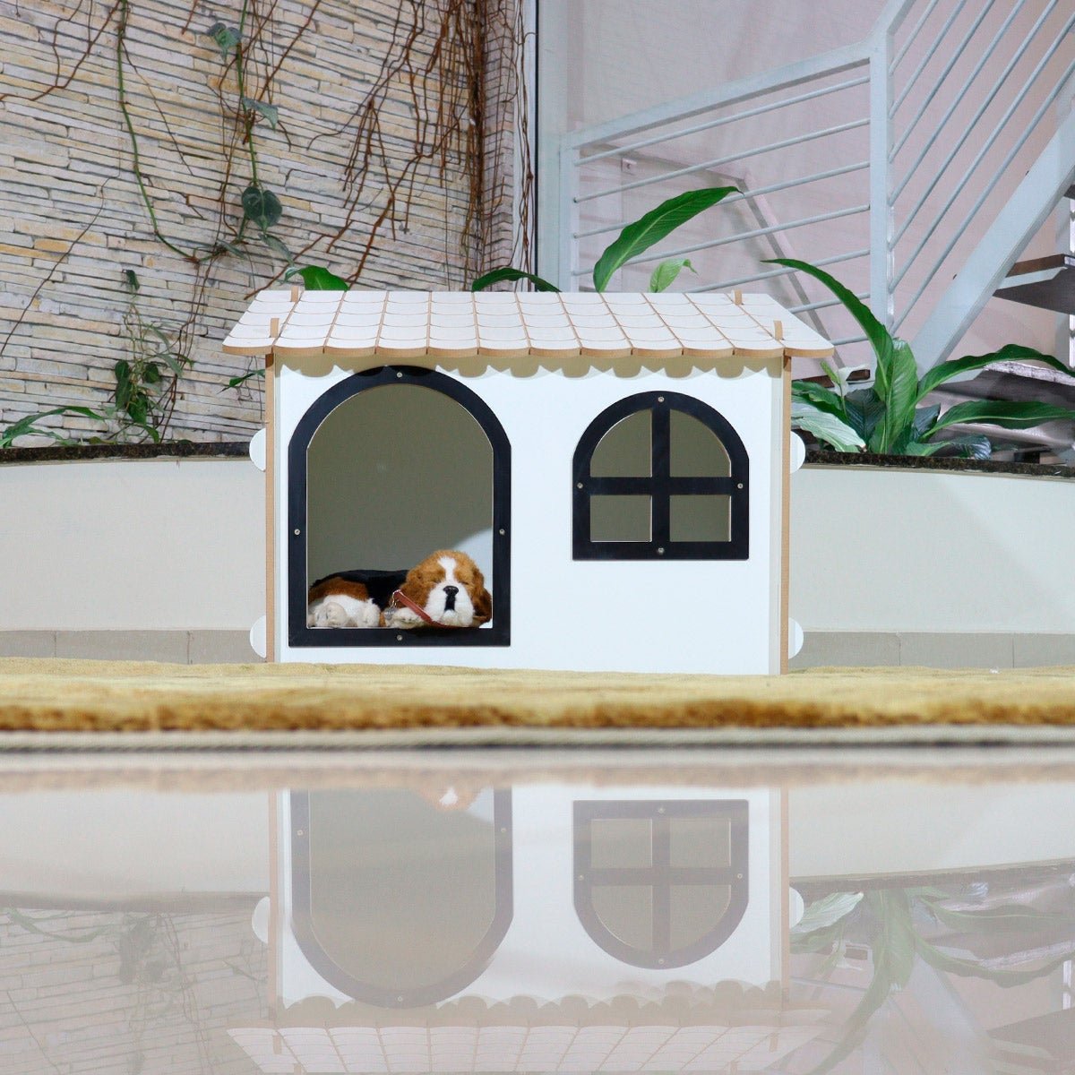 Casinha De Luxo Para Cachorro Cães Pets De Pequeno Porte - 7