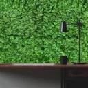 Ver imagem 1 de Kit 8 Paineis Trevo Artificial Planta em Placa para Revestimento de Parede e Decoração de Ambientes