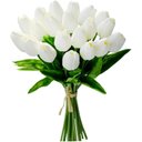 Ver imagem 1 de 10 Hastes Flores Tulipas Brancas Talos 30cm Buqe Artficiais